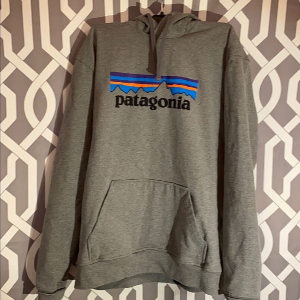 Patagonia Logo Gray Sunset Hoodie